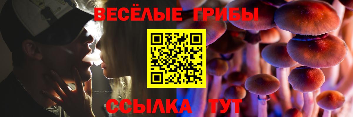 Псилоцибиновые грибы GOLDEN TEACHER  Псилоцибиновые грибы мухоморы  Всеволожск  Вход с VPN 